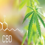 What is CBD?