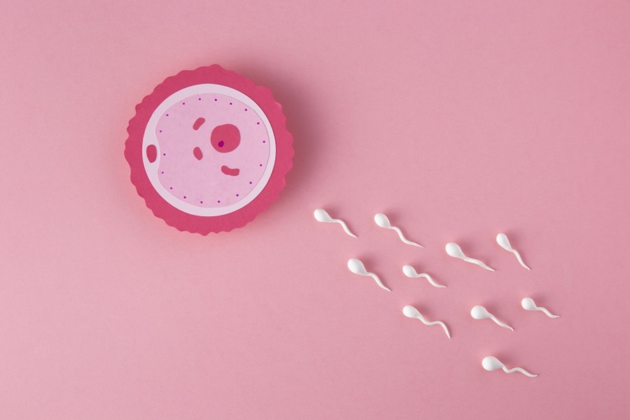 تفاوت IVF و IUI