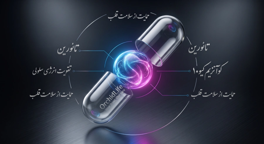 نمای انفجاری کپسول تخصصی تقویت قلب و نمایش مکانیسم اثربخشی اسید آمینه تائورین برای تنظیم فشار خون و انقباضات ماهیچهای