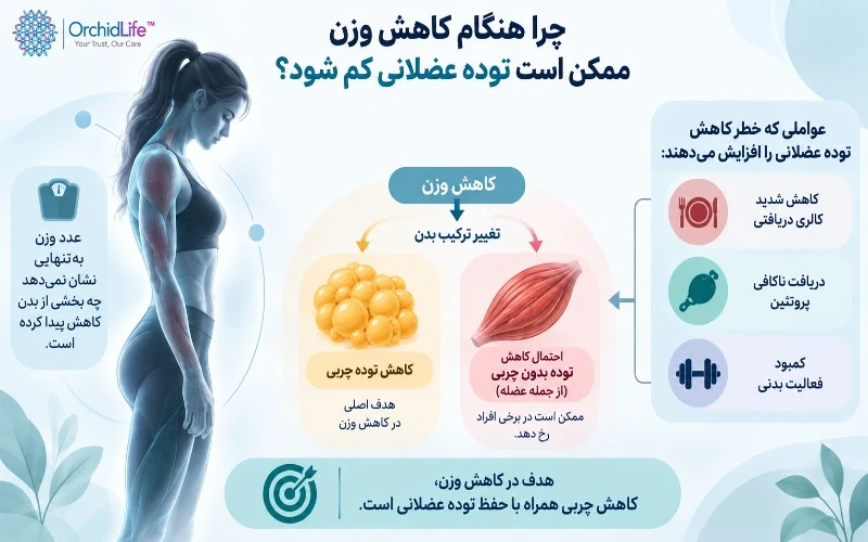 چرا هنگام کاهش وزن ممکن است توده عضلانی کم شود؟